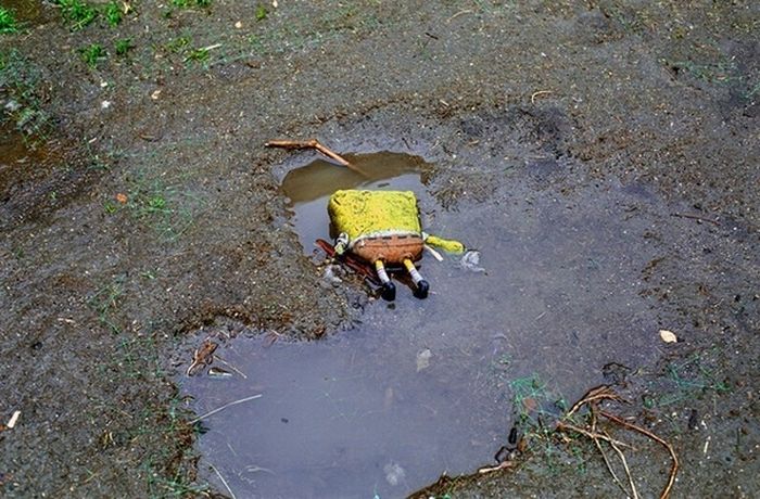 Acid Picdump (83 pics)