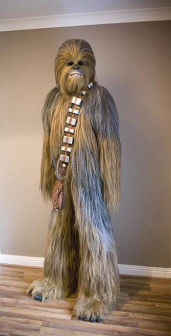 Homemade Star Wars’s Chewbacca Suit (15 pics)