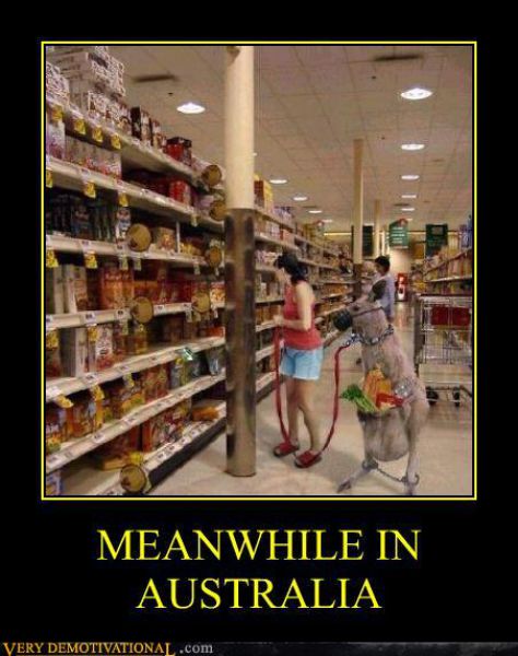 Funny Demotivators (130 pics)