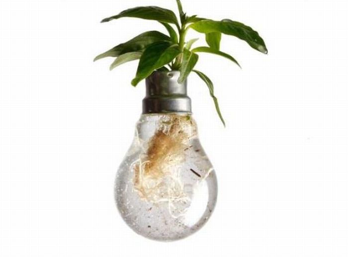 New Life Of Old Light Bulbs (27 pics)