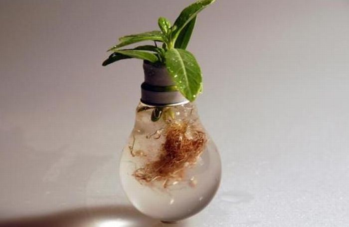 New Life Of Old Light Bulbs (27 pics)