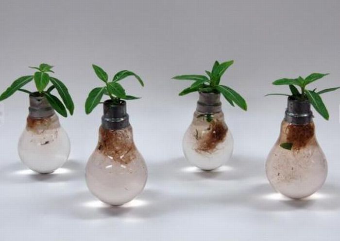 New Life Of Old Light Bulbs (27 pics)