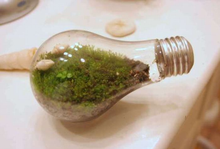 New Life Of Old Light Bulbs (27 pics)