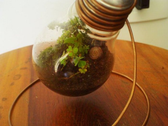 New Life Of Old Light Bulbs (27 pics)