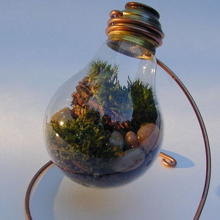 New Life Of Old Light Bulbs (27 pics)