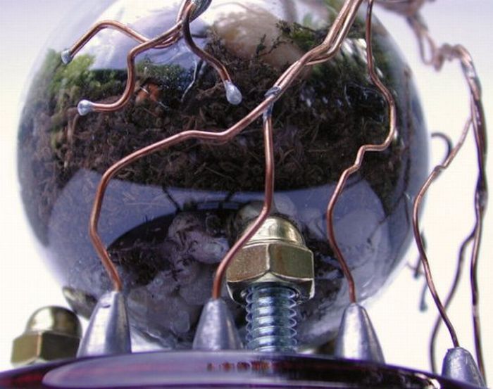 New Life Of Old Light Bulbs (27 pics)