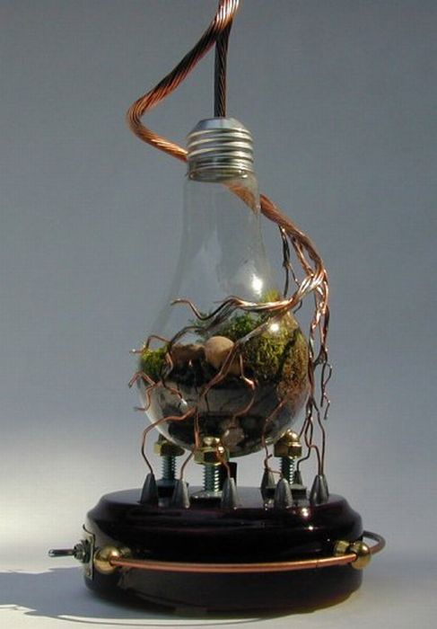 New Life Of Old Light Bulbs (27 pics)