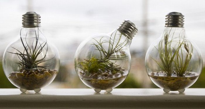 New Life Of Old Light Bulbs (27 pics)