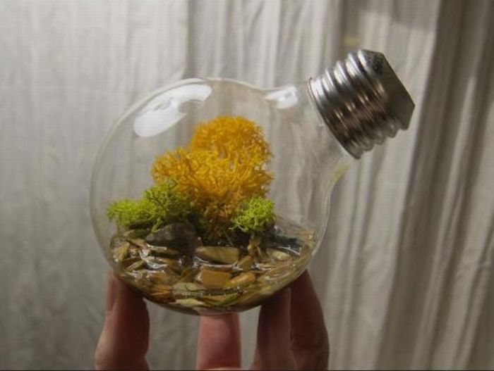 New Life Of Old Light Bulbs (27 pics)