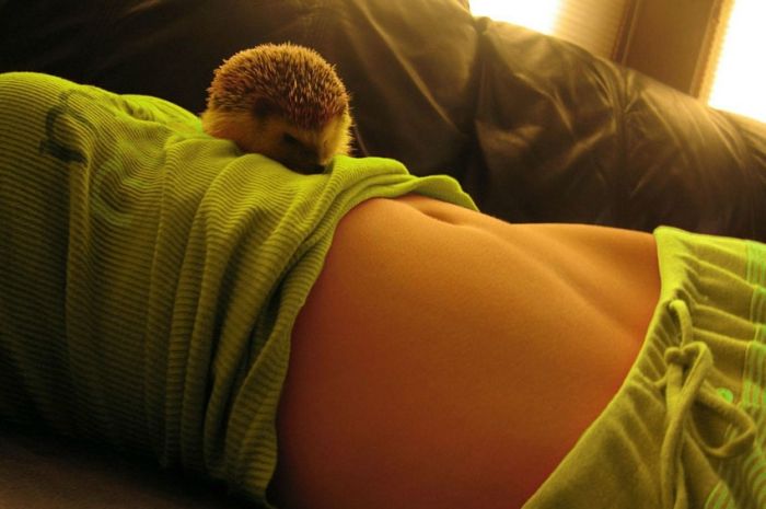 Acid Picdump (97 pics)