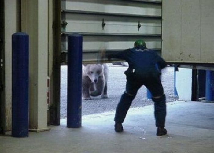 Acid Picdump (97 pics)