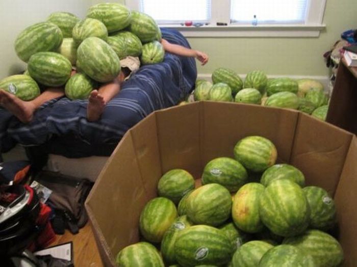 Acid Picdump (97 pics)