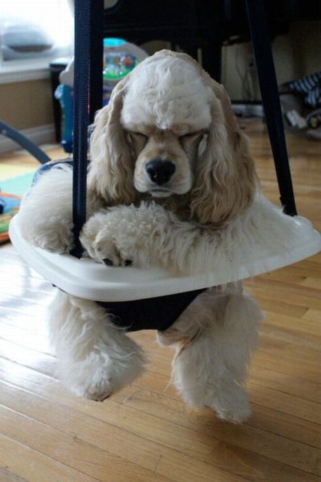 Acid Picdump (97 pics)