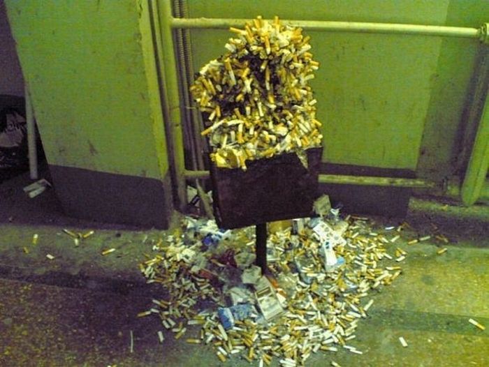 Acid Picdump (97 pics)