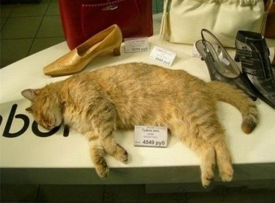 Acid Picdump (97 pics)