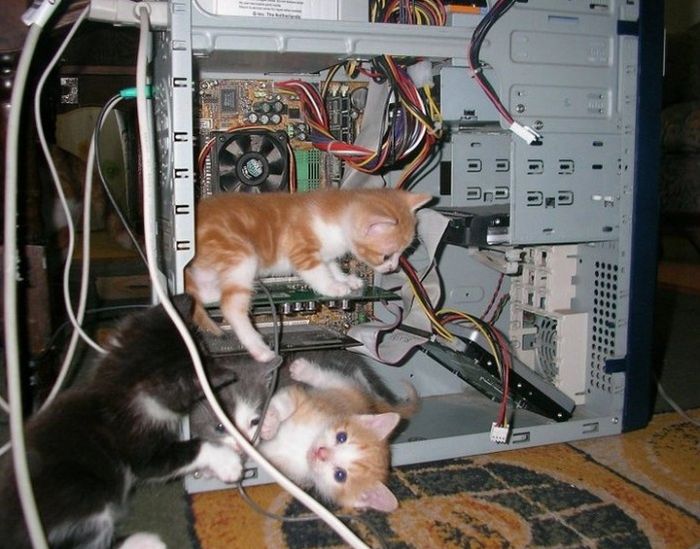 Acid Picdump (97 pics)