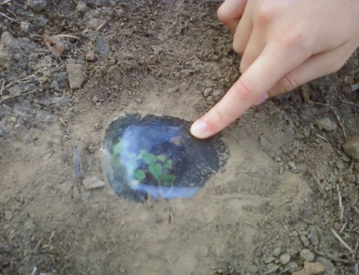 Acid Picdump (97 pics)
