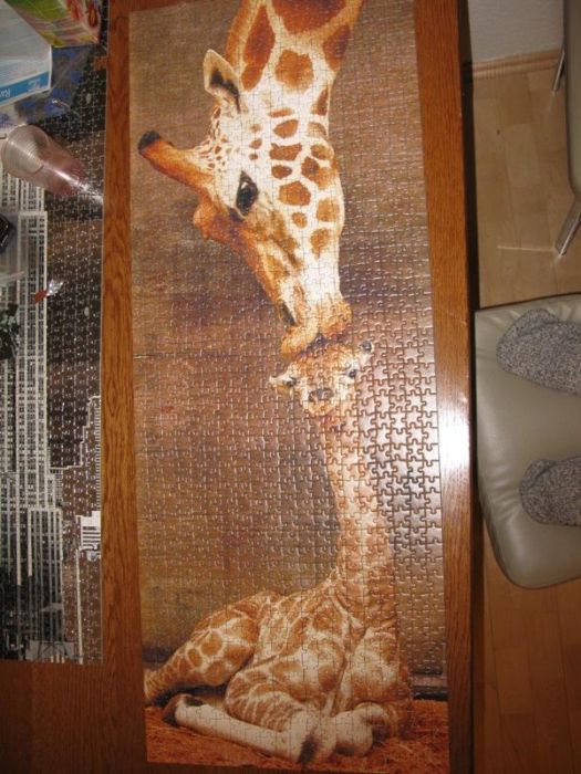 The World's Largest Puzzles (20 pics)