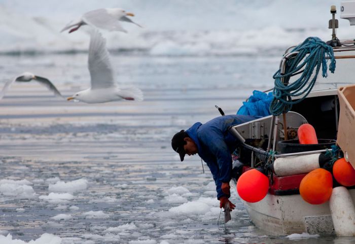 Icy Landscapes of Greenland (33 pics)