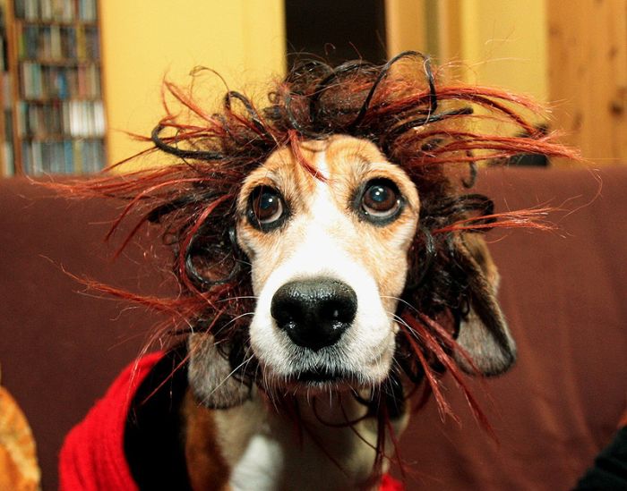Acid Picdump (91 pics)