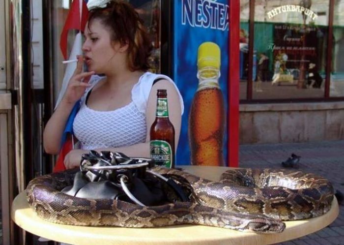 Acid Picdump (91 pics)