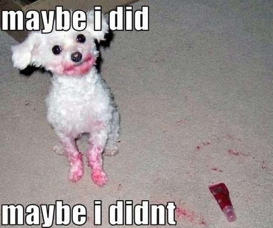 Acid Picdump (91 pics)