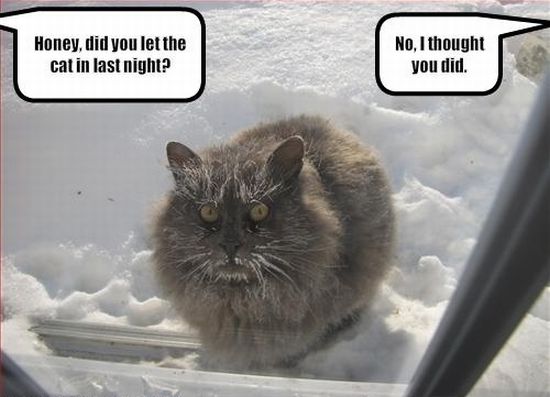 Acid Picdump (91 pics)
