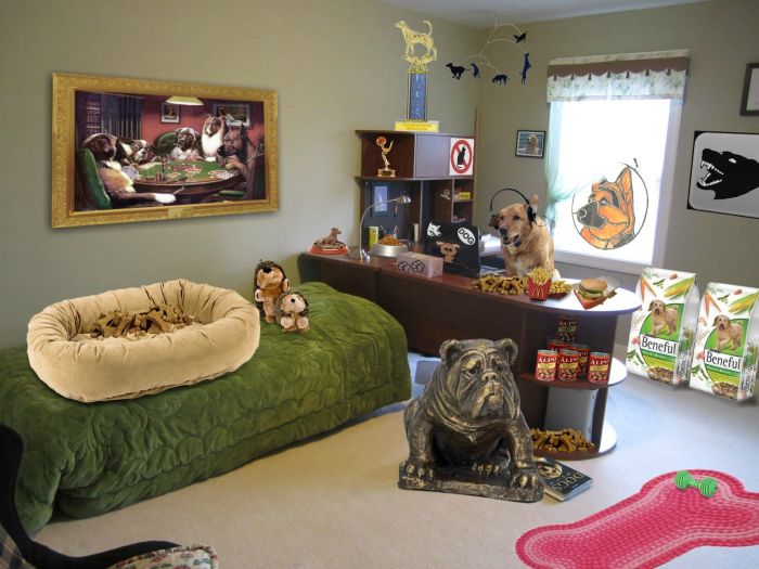 Acid Picdump (91 pics)