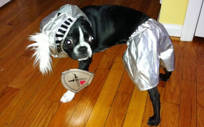 Acid Picdump (91 pics)