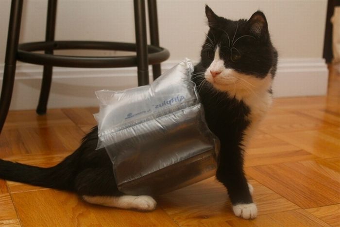 Acid Picdump (91 pics)