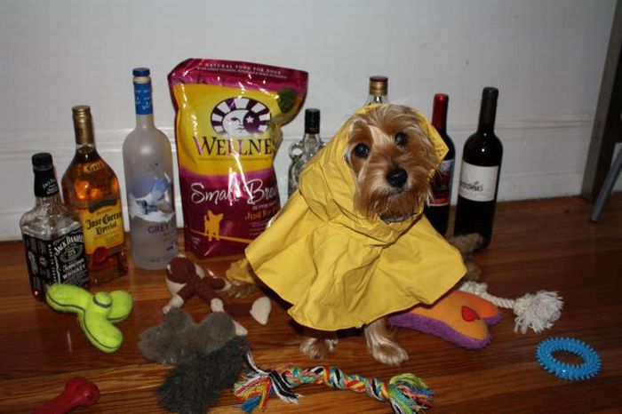 How Weird People Prepared For Irene (22 pics)
