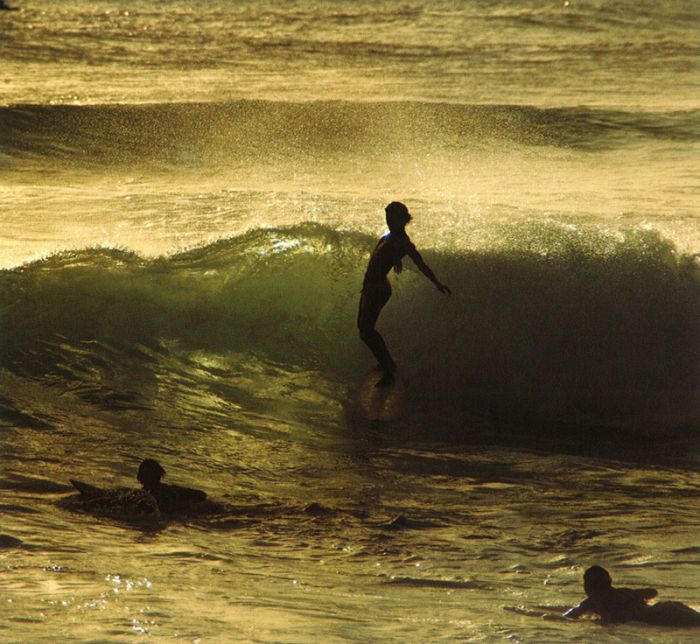 Awesome Surfing Posters by LeRoy Grannis (24 pics)