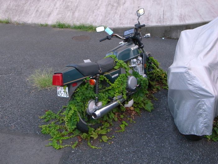 Acid Picdump (86 pics)