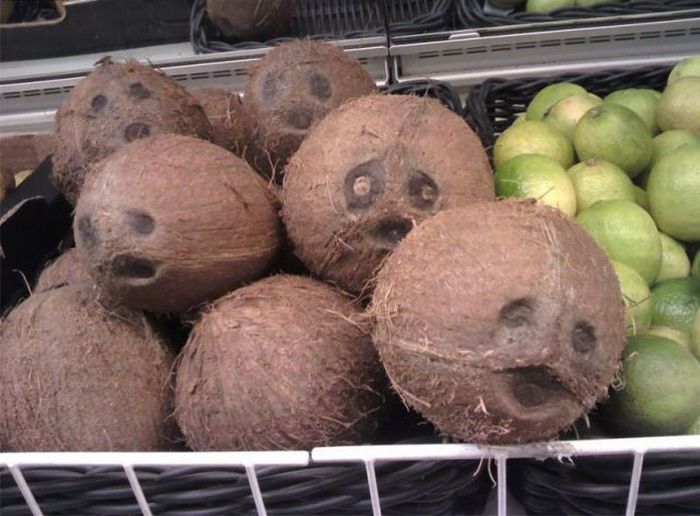 Acid Picdump (86 pics)