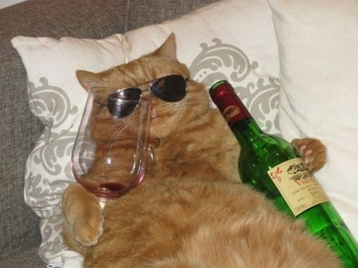 Acid Picdump (86 pics)