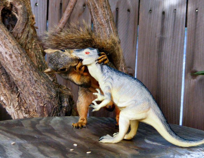 Acid Picdump (86 pics)