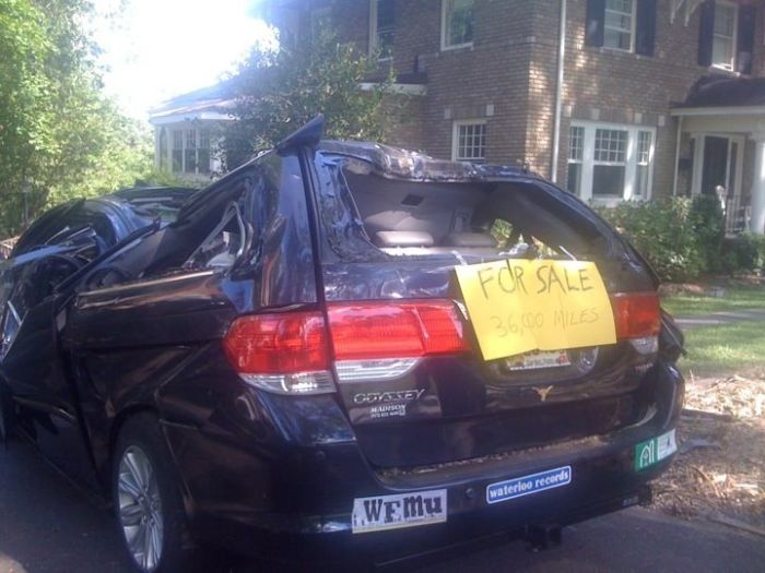 Acid Picdump (86 pics)