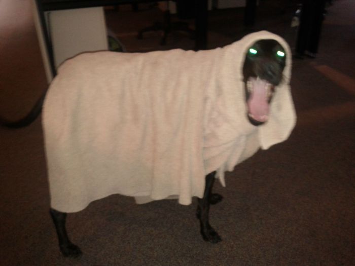 Acid Picdump (86 pics)