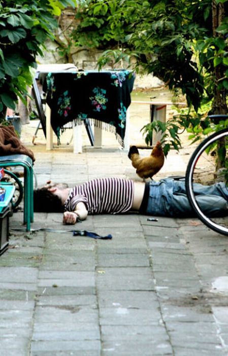 Funny Drunk People (63 pics)