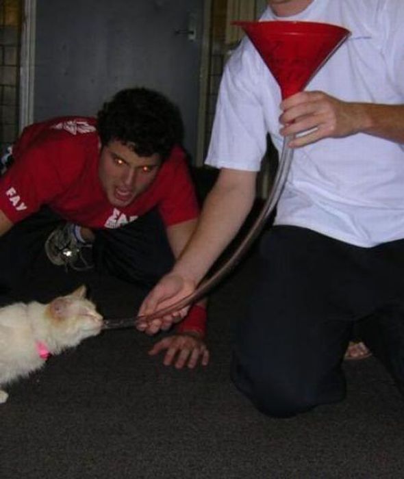 Funny Drunk People (63 pics)