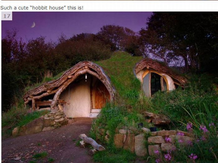 How to Build Your Own Home for $5,000 (16 pics)