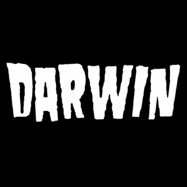 Combined Band Logos Mashup (11 pics)