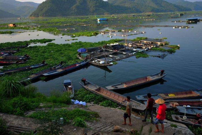 Mass Fish Death in China (7 pics)