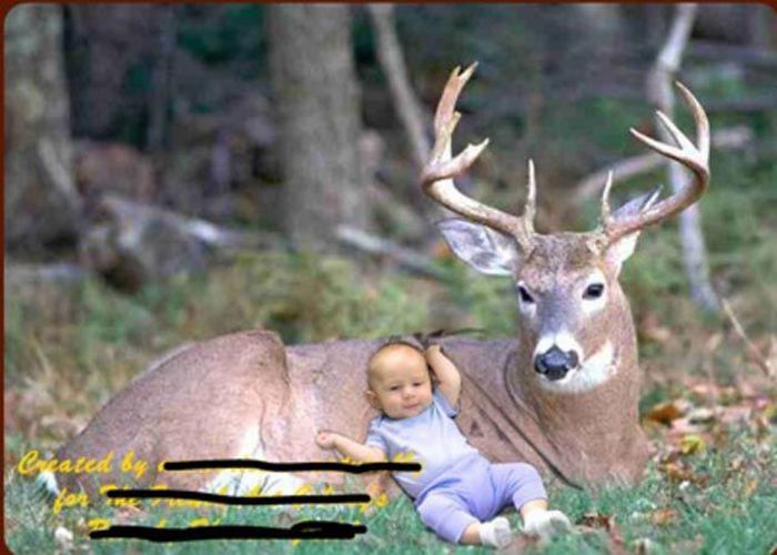 The Worst Examples of Amateur Photography (37 pics)