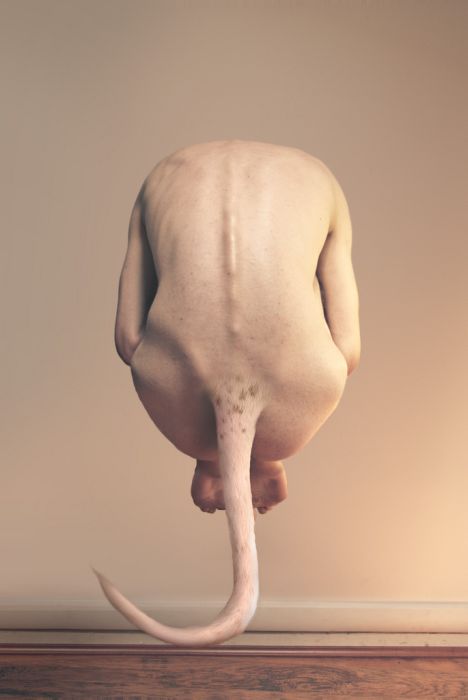 Photoshop Body-Metamorphosis (11 pics)