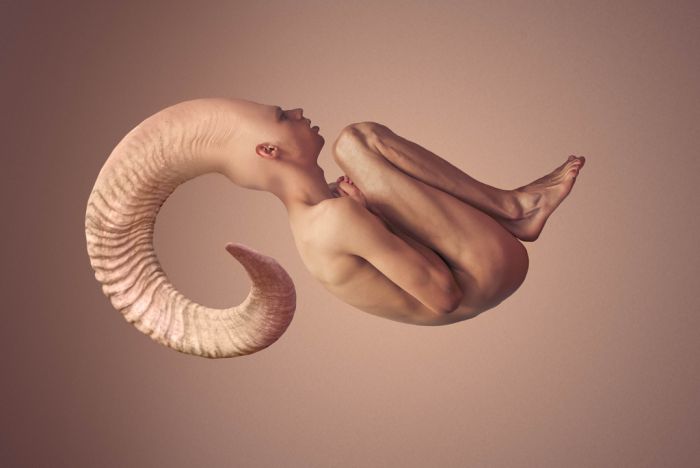 Photoshop Body-Metamorphosis (11 pics)