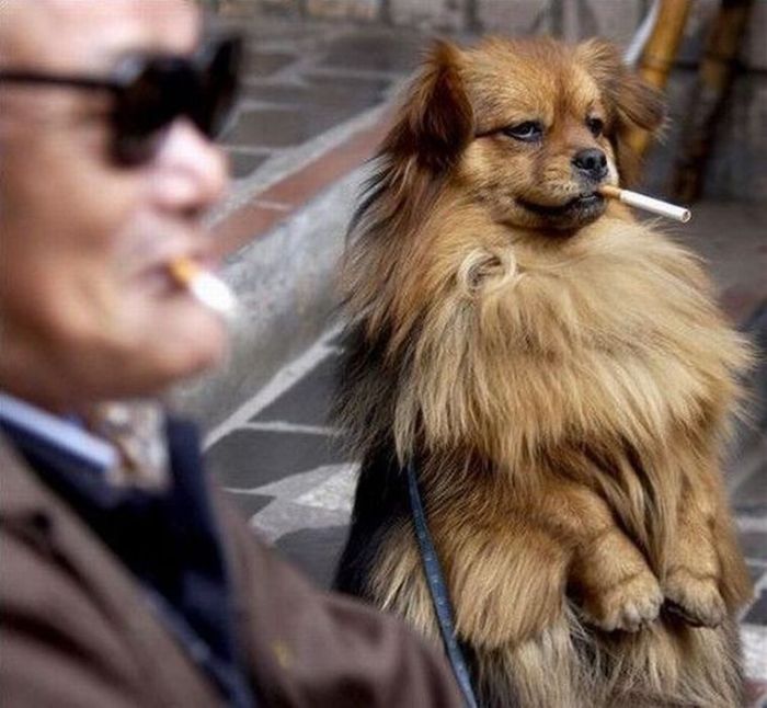 Acid Picdump (91 pics)