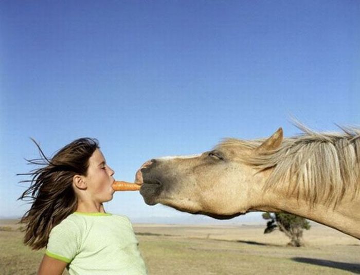 Acid Picdump (91 pics)