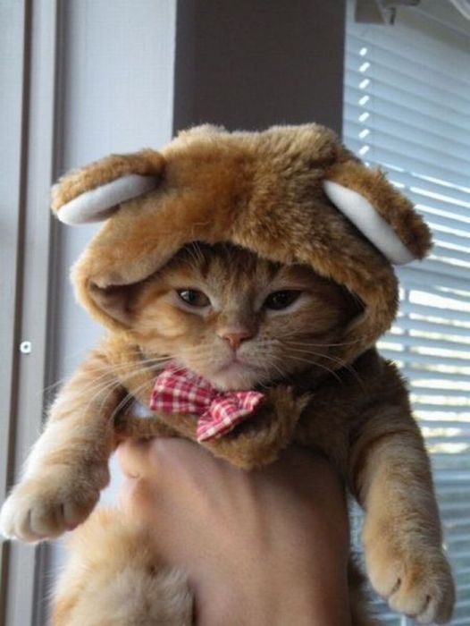 Acid Picdump (91 pics)