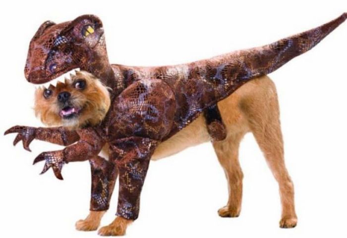 Acid Picdump (91 pics)